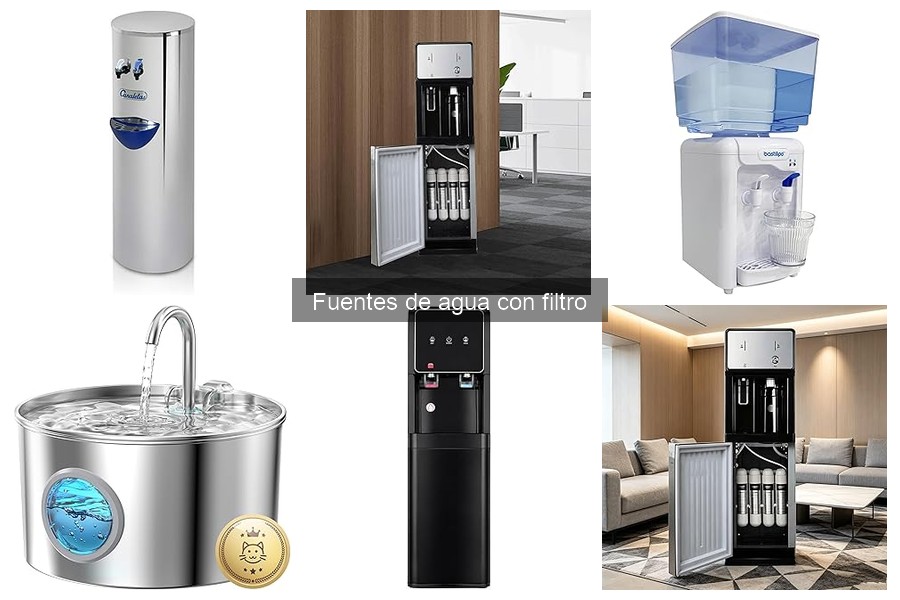 Beneficios de usar una fuente de agua con filtro para mascotas