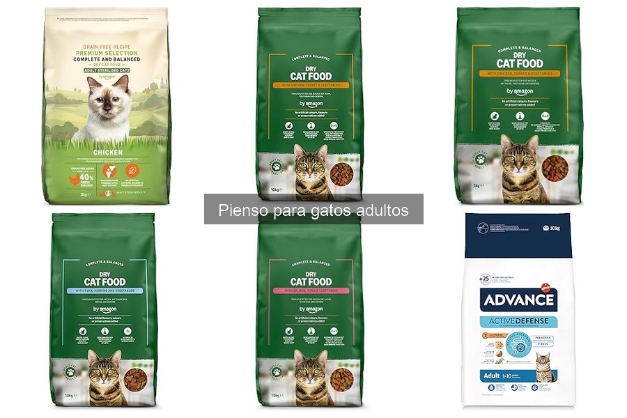 Beneficios del buen pienso para gatos adultos
