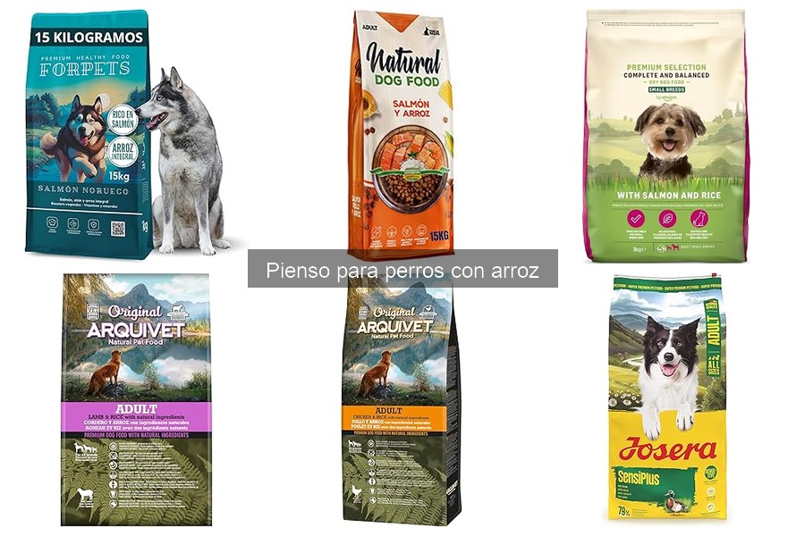 Beneficios del pienso de arroz para perros: Mejora su salud