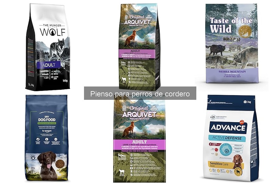 Beneficios del pienso de cordero para perros: digestibilidad