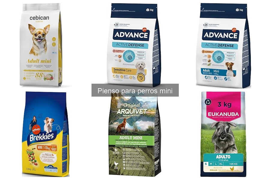 Beneficios del pienso específico para perros mini