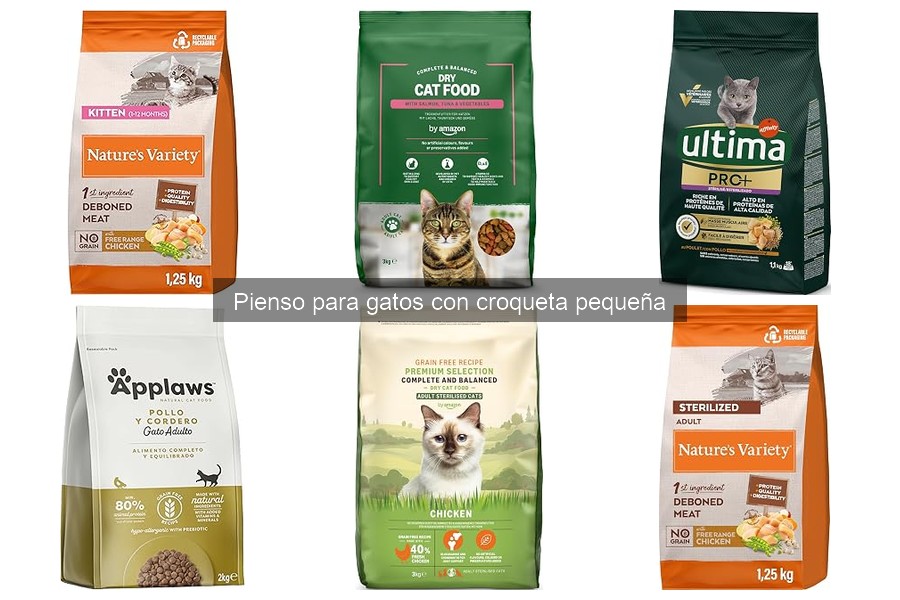 Beneficios del Pienso para Gatos con Croqueta Pequeña