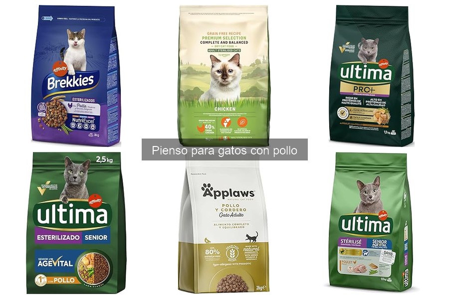 Beneficios del pienso para gatos con pollo: salud y nutrición