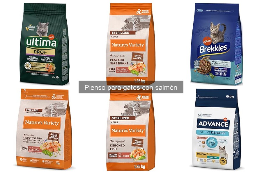 Beneficios del pienso para gatos con salmón