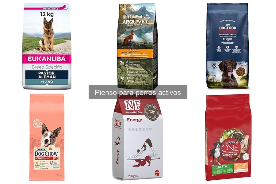 Beneficios del pienso para perros activos: ¡Mejora su energía!