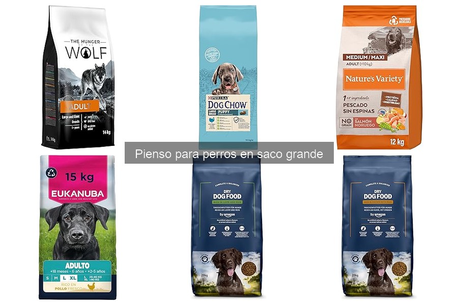 Beneficios del pienso para perros en saco grande vs bolsa pequeña