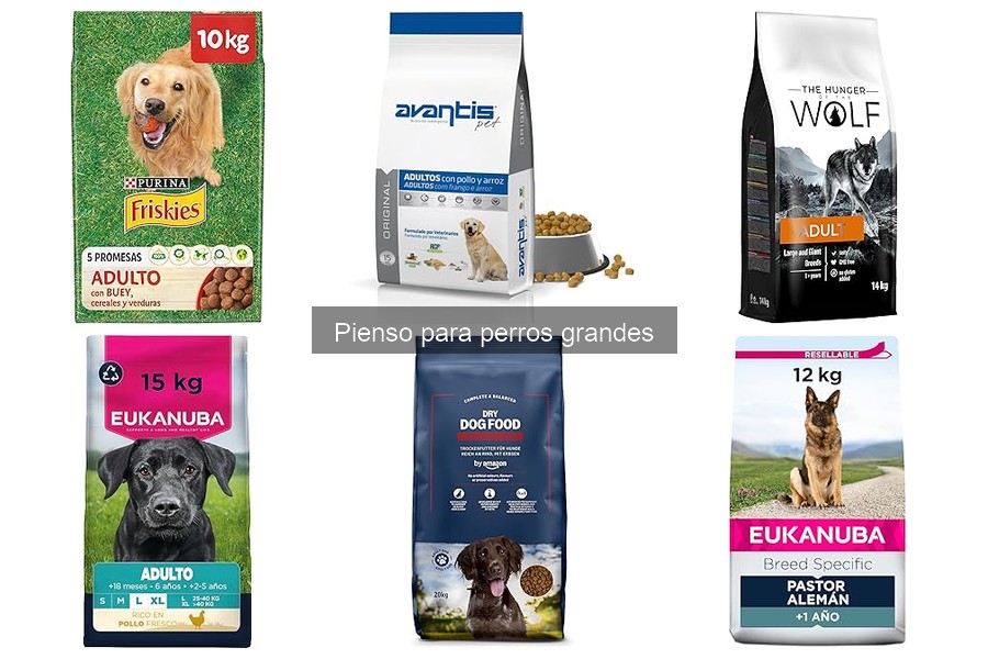 Beneficios del pienso para perros grandes: salud y bienestar