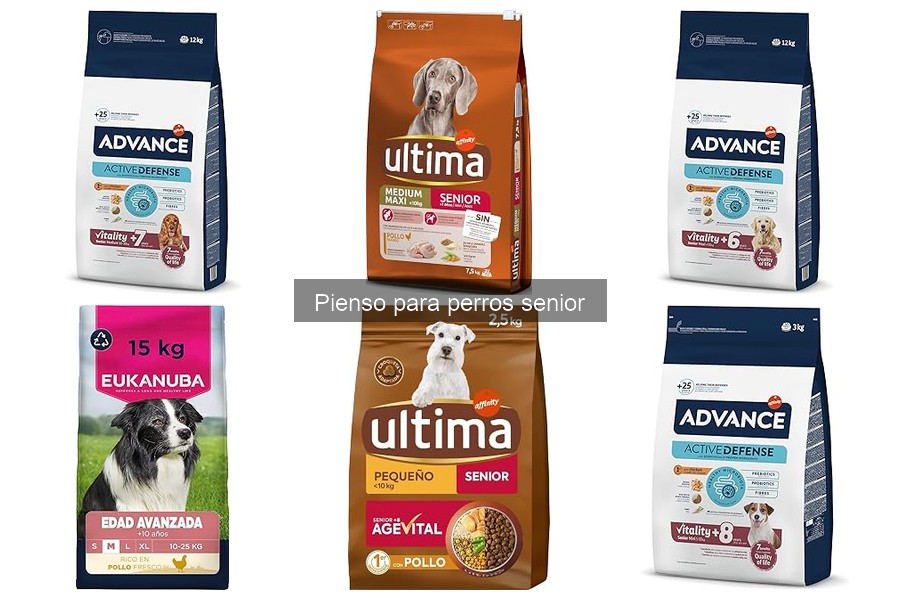 Beneficios del pienso para perros senior: Salud y bienestar
