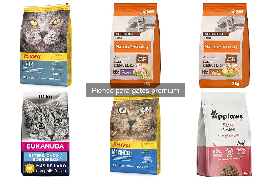 Beneficios del pienso premium para gatos: Salud y energía