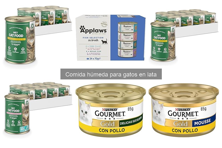 Beneficios y características de la comida húmeda para gatos