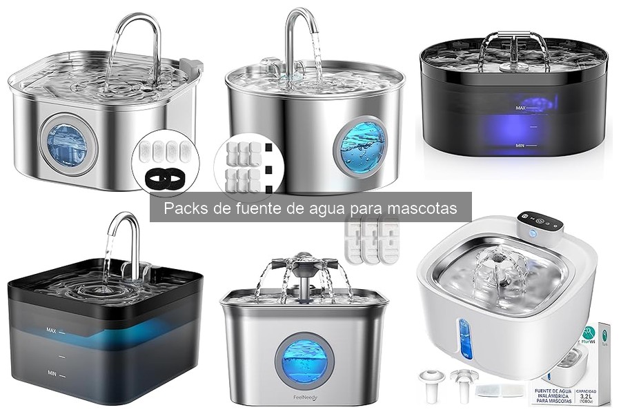 Benefits of Using Water Fountains for Pets