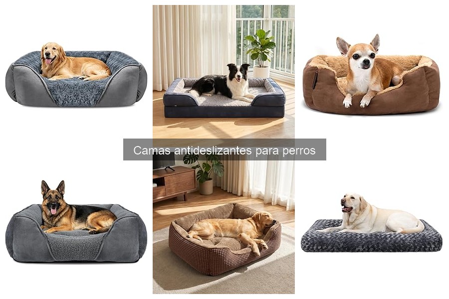 Camas Antideslizantes para Perros: ¿Qué Son y Sus Beneficios?
