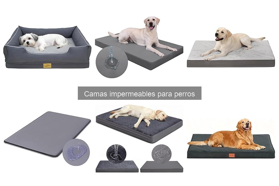 Camas Impermeables para Perros: Características y Beneficios