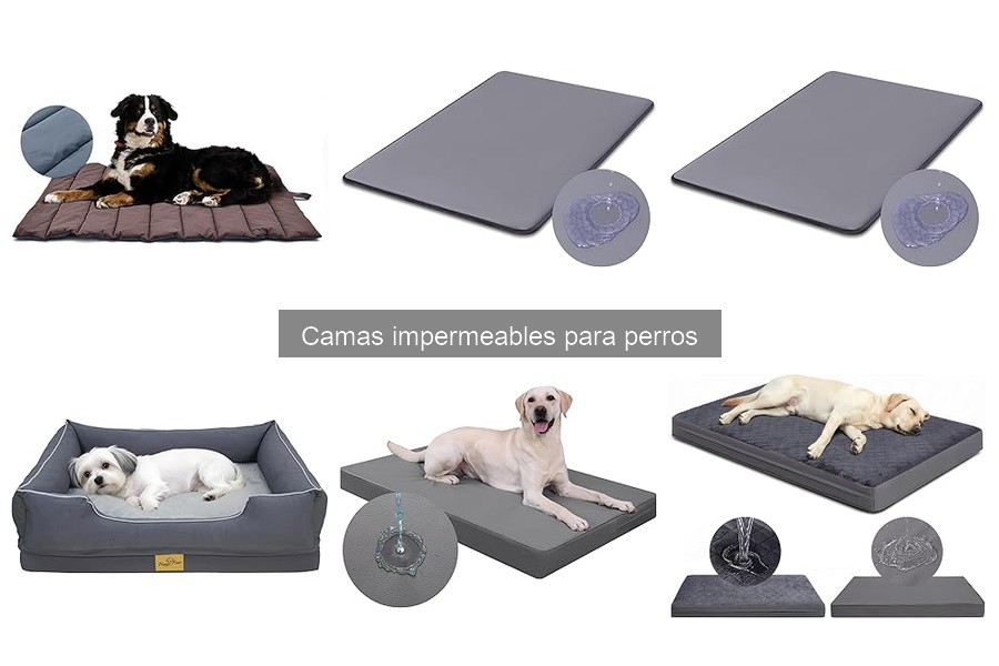 Camas impermeables para perros con incontinencia: Guía 2023