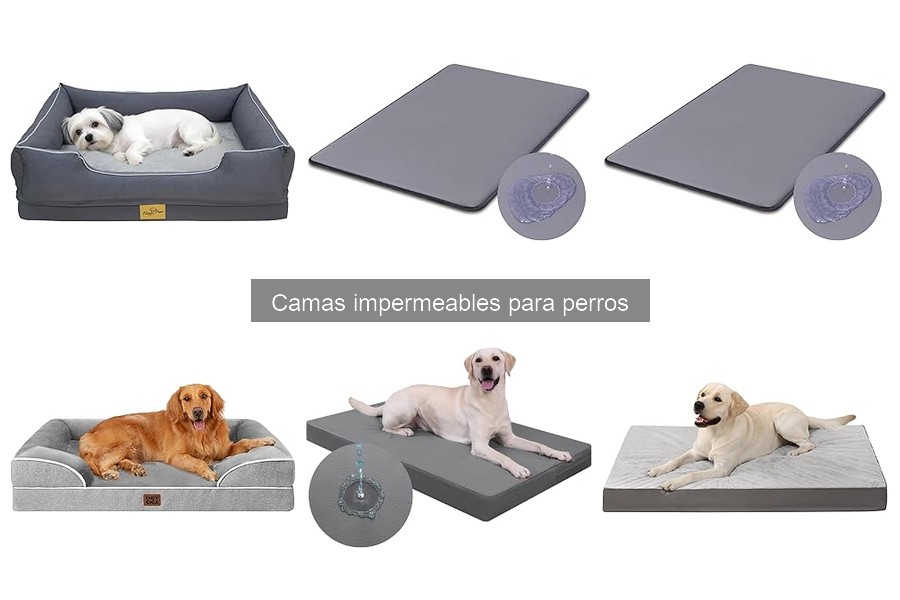 Camas Impermeables para Perros: Salud y Bienestar Mascota