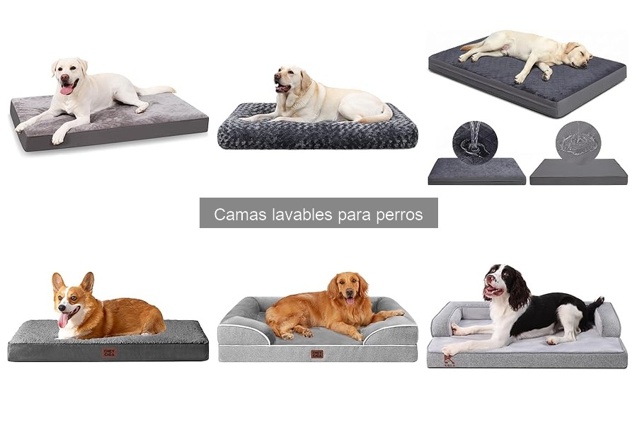 Camas Lavables para Perros: Beneficios y Características