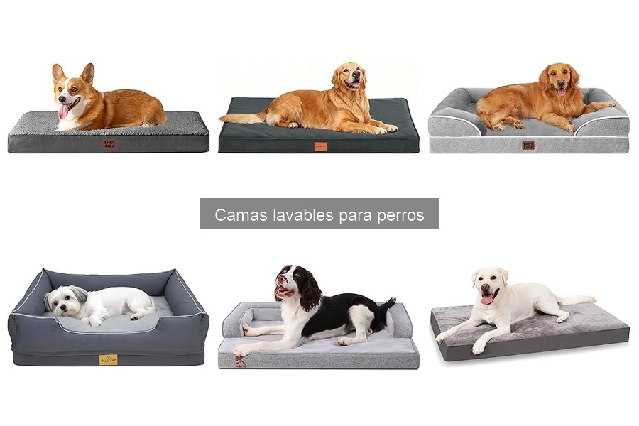 Camas Lavables para Perros: ¿Son adecuadas para perros ancianos?