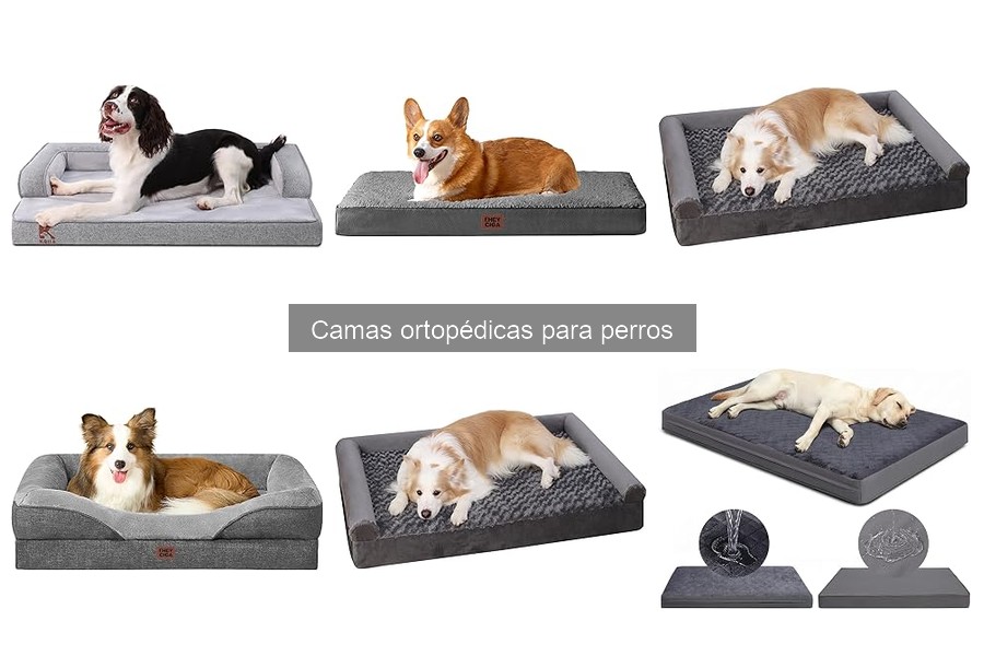 Camas ortopédicas para perros pequeños vs grandes: Guía comparativa
