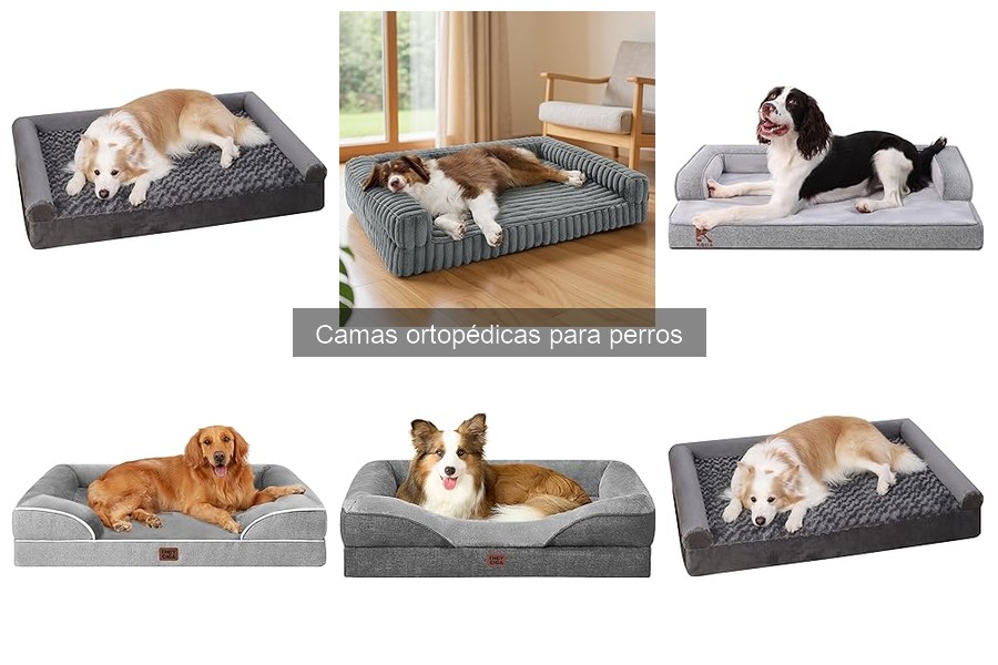 Camas ortopédicas para perros: ¿Qué son y sus beneficios?
