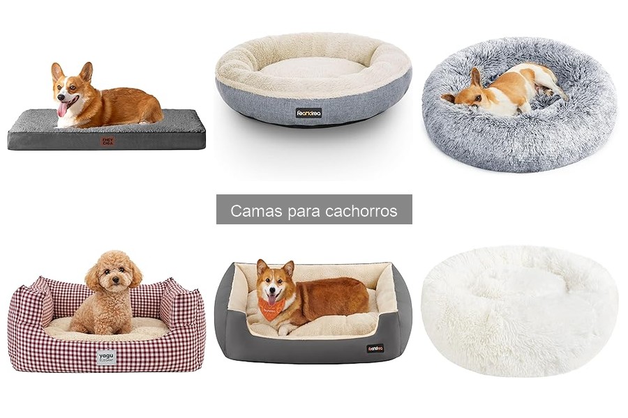 Camas para cachorros al mejor precio: ofertas actuales