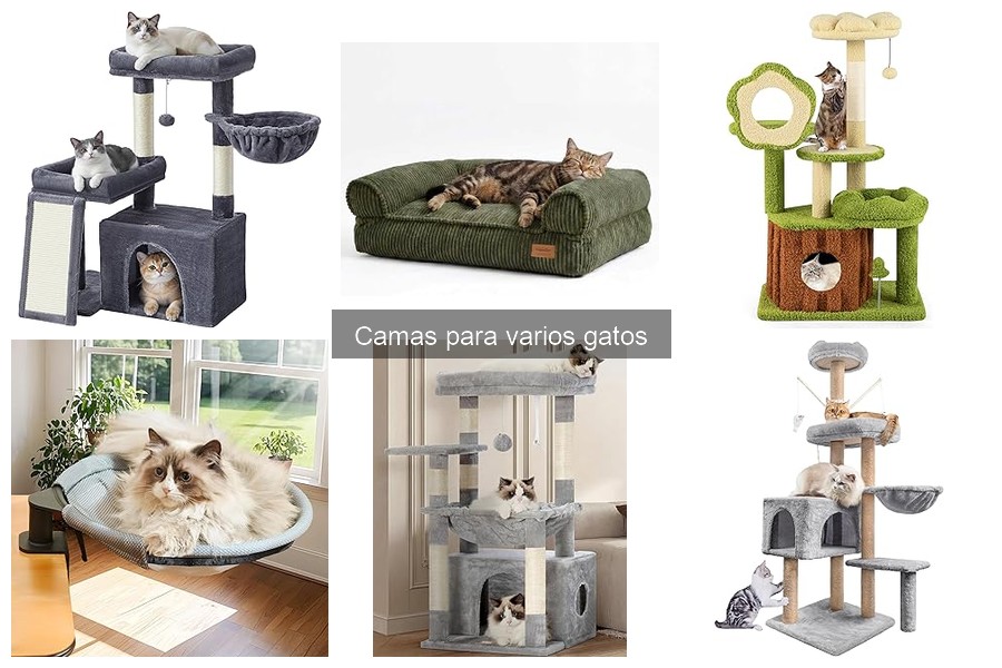 Camas para gatos portátiles: la guía ideal para viajes