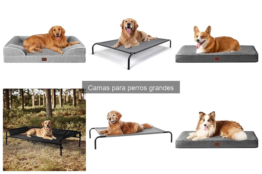 Camas para perros grandes con problemas de salud: guía