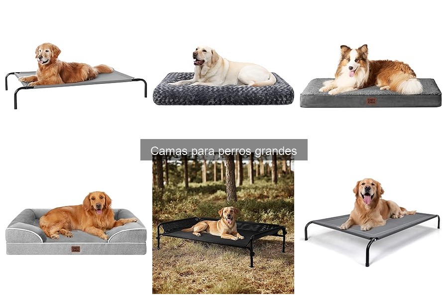 Camas para Perros Grandes con Propiedades Especiales