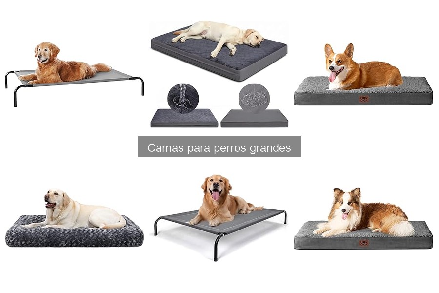 Camas para perros grandes: las mejores tiendas y precios