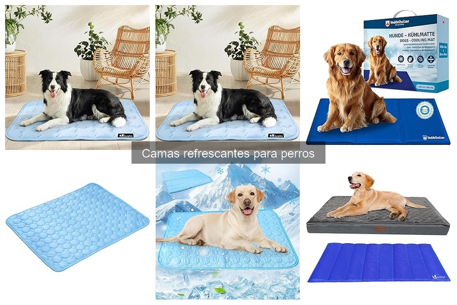 Camas refrescantes para perros: ¿Son seguras?