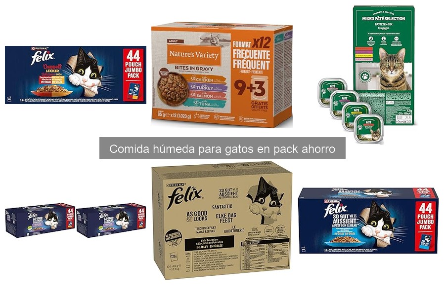 Cantidad ideal de comida húmeda para gatos según su peso
