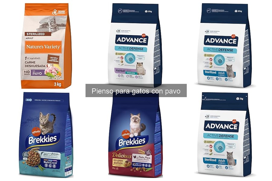 Cantidad ideal de pienso con pavo para gatos