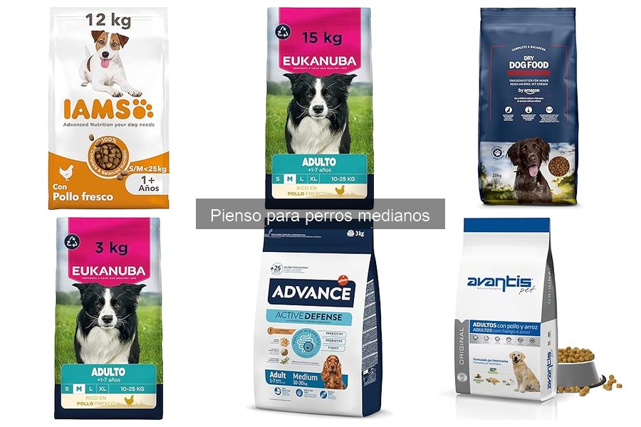 Cantidad Ideal de Pienso para Perros Medianos: Guía Práctica