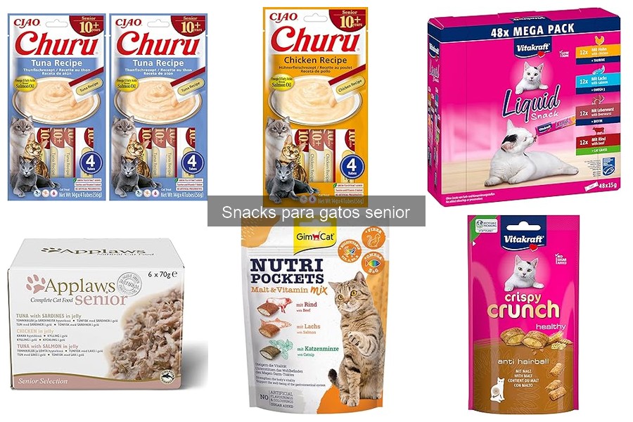 Cantidad ideal de snacks para gatos senior: guía práctica