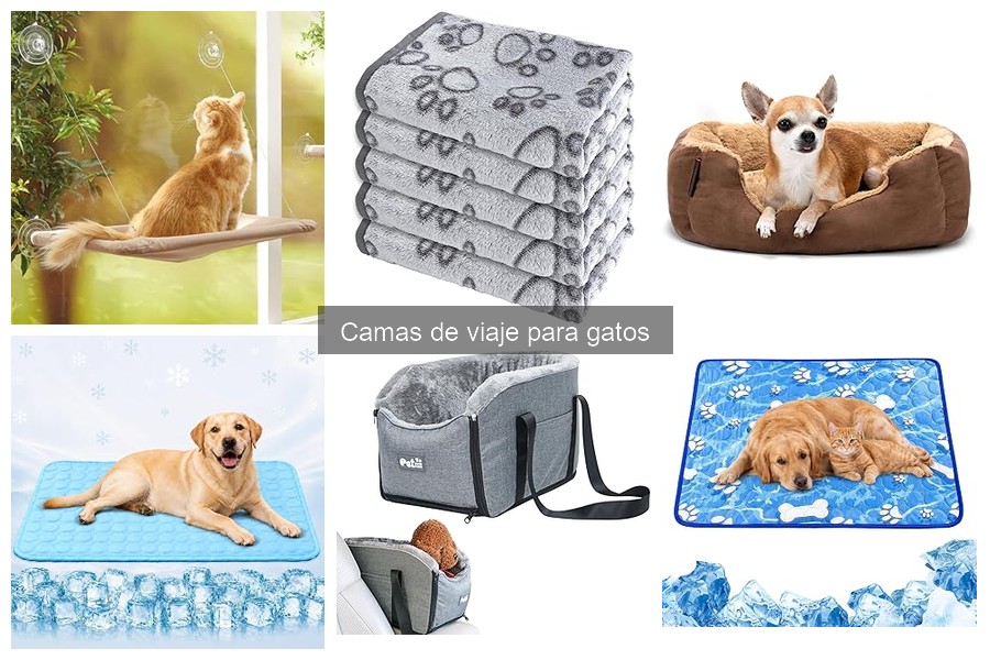 Características clave de camas de viaje para gatos