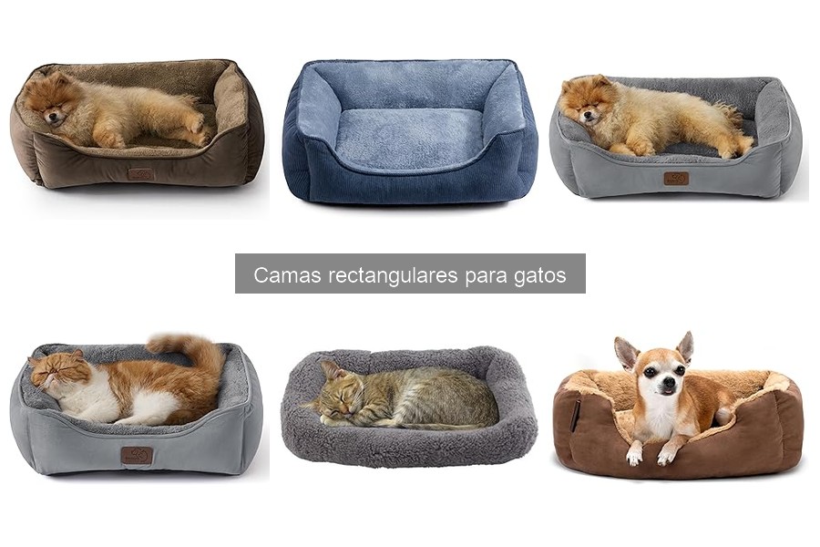 Características clave de camas rectangulares para gatos