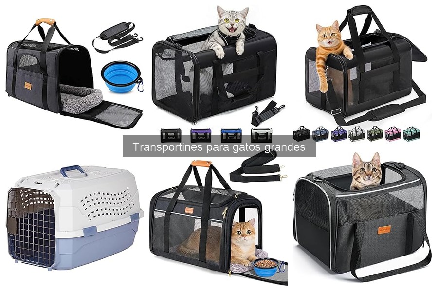 Características Clave de Transportines para Gatos Grandes