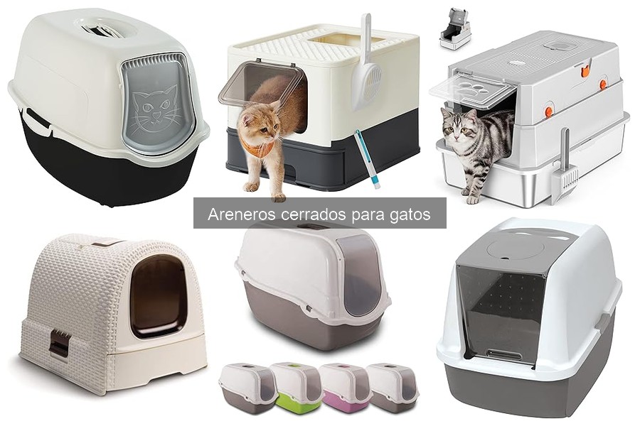 Características Clave de un Buen Arenero Cerrado para Gatos
