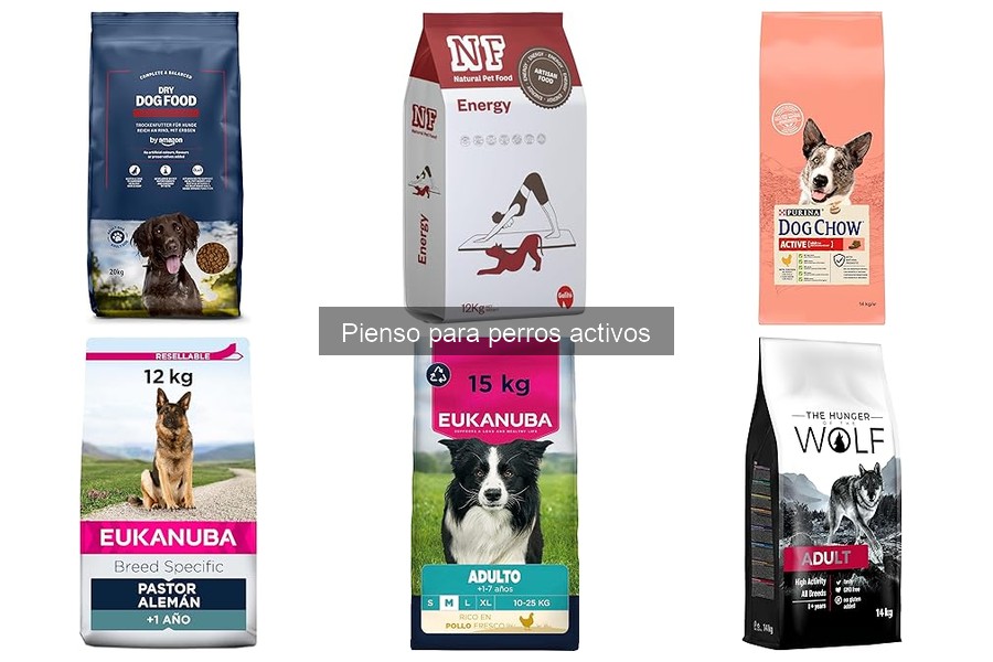 Características del pienso para perros activos: guía esencial