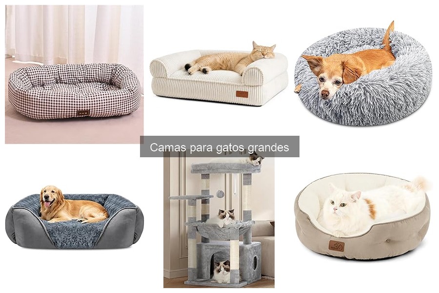 Características esenciales de camas para gatos grandes