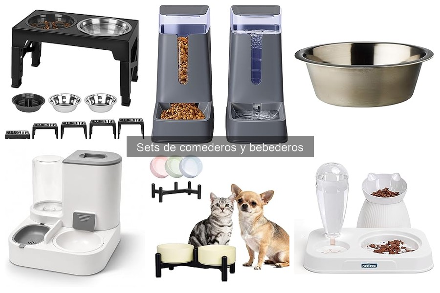 Características esenciales de sets de comederos para mascotas con artritis