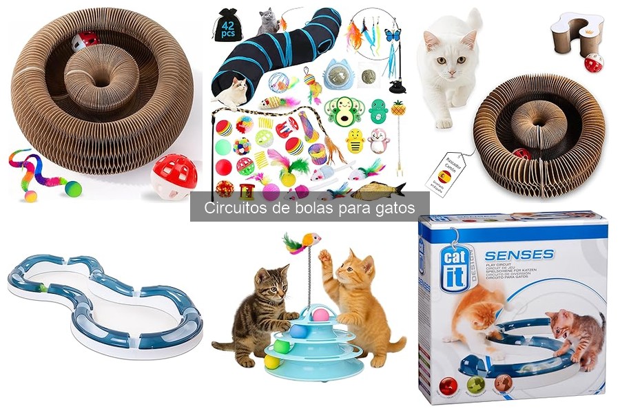 Circuitos de bolas para gatos: Opiniones y Reseñas de Usuarios