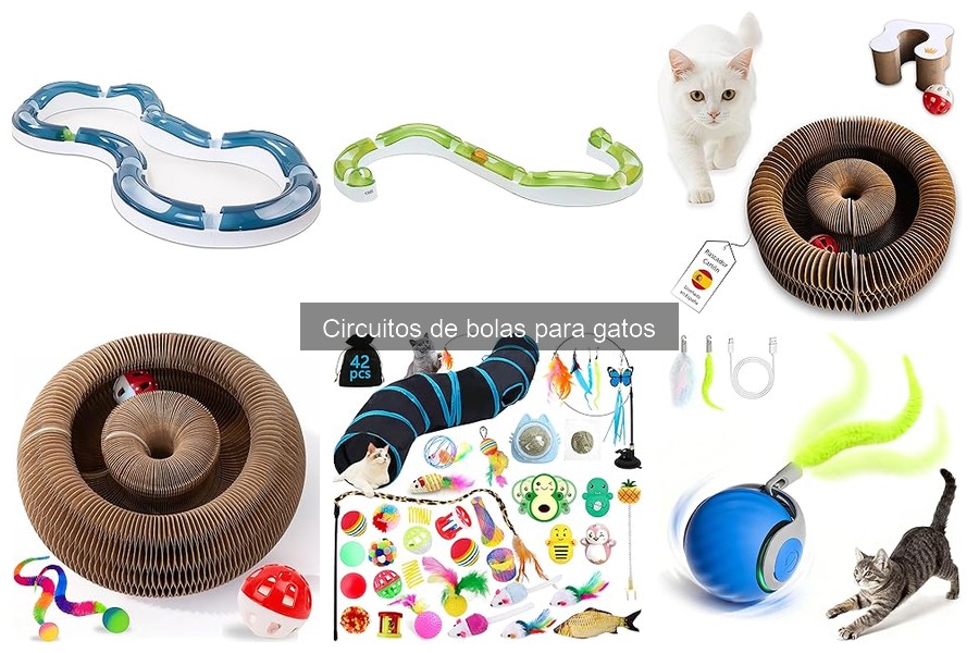 Circuitos de bolas para gatos: ¿Qué son y cómo funcionan?