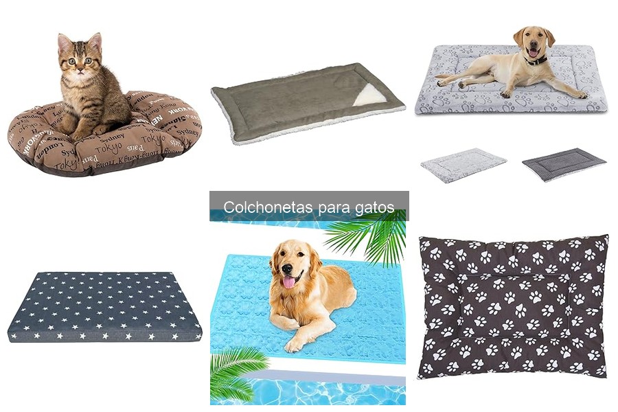 Colchonetas ideales para gatos mayores: ¡guía completa!