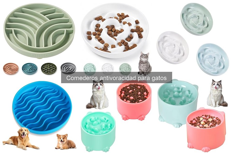 Comederos antivoracidad para gatos: ¿Dónde comprarlos baratos?