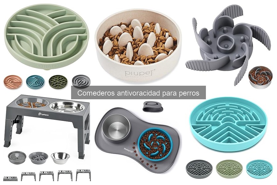 Comederos antivoracidad vs. tradicionales: ¿cuál elegir?