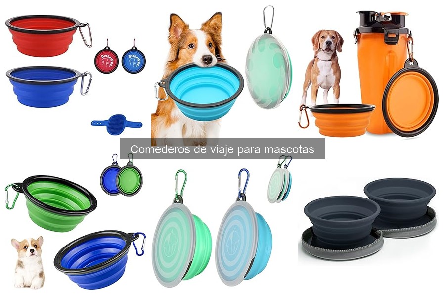 Comederos de viaje para mascotas: características esenciales