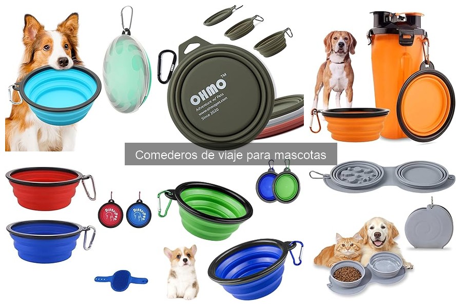 Comederos de viaje para mascotas: dónde comprarlos baratos