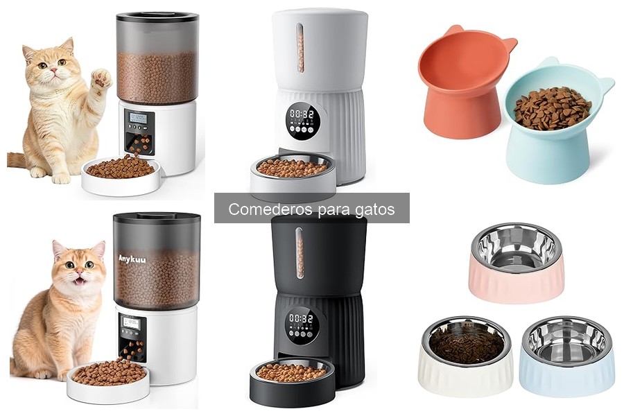 Comederos para gatos ecológicos: opciones sostenibles