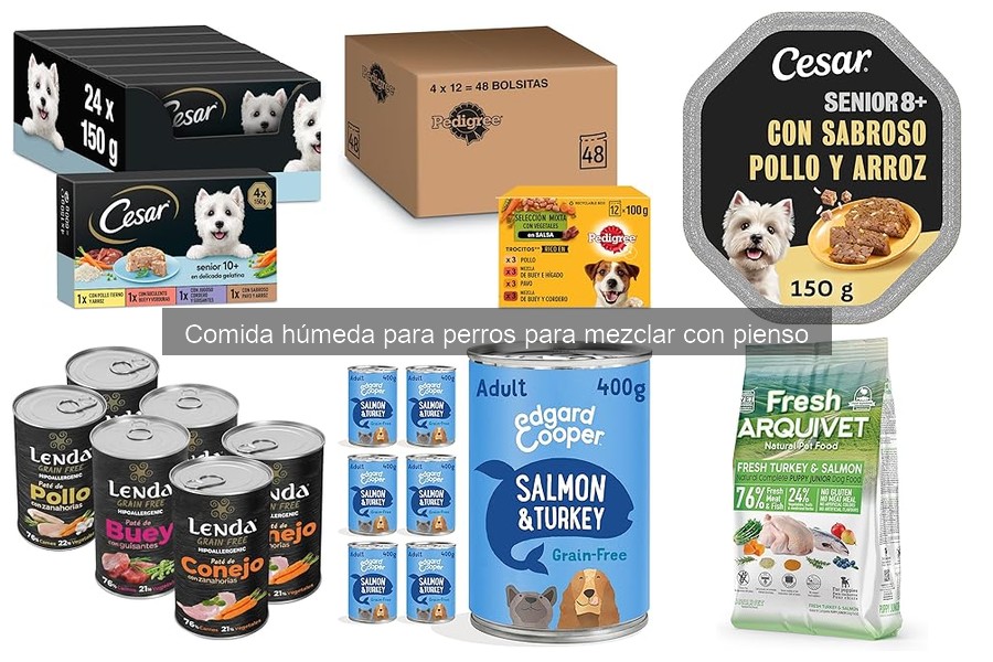 Comida húmeda como premio para entrenar a tu perro