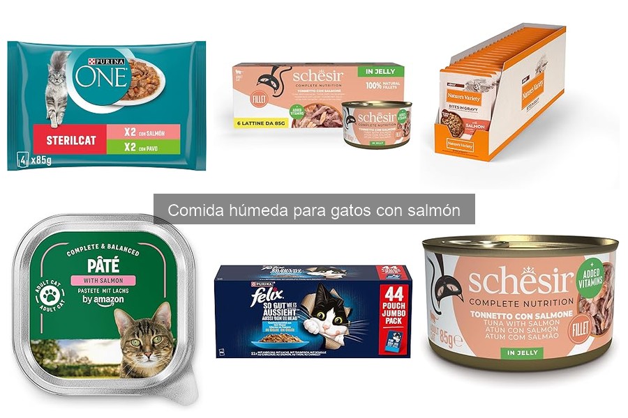 Comida húmeda de salmón: ¿es segura para gatos alérgicos?
